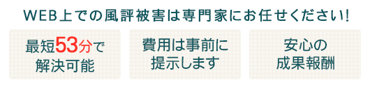 最短５３分で解決可能！費用は事前に提示します！安心の成果報酬！WEB上での風評被害は専門家にお任せください