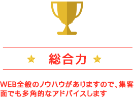 総合力 ＷＥＢ全般のノウハウがありますので、集客面でも多角的なアドバイスします